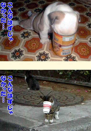 こんなはずじゃなかった